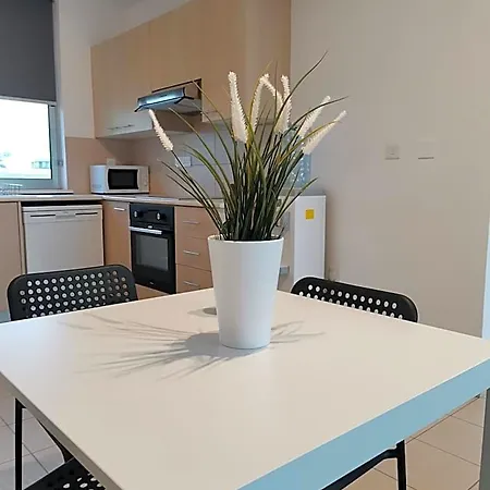 Flats 308 דירה